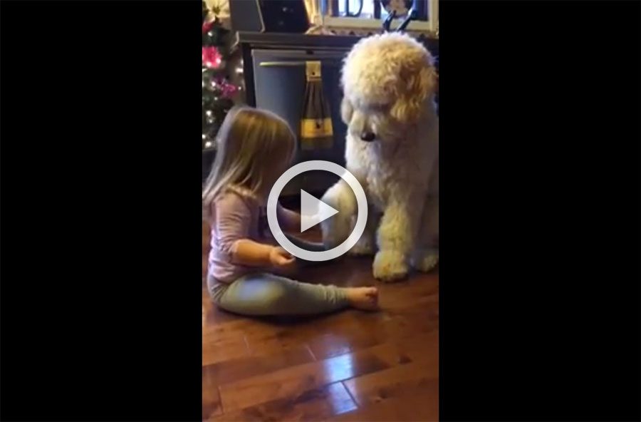 Este papá sorprendió a su hija enseñando un truco al perro de la familia. Verlos juntos es adorable
