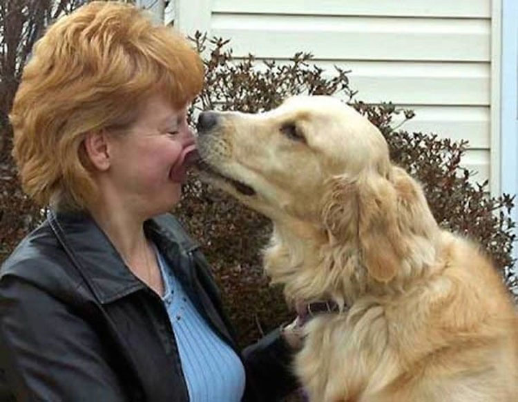 Esta "oración de un perro" te romperá el corazón en 2 minutos