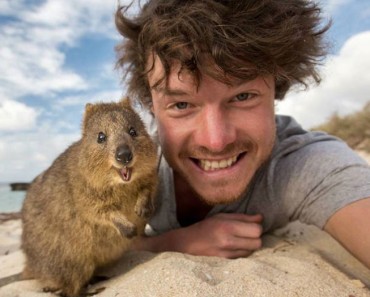 Este chico explica cómo tomar selfies con todo tipo de animales salvajes