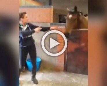 Este caballo estaba pensando en sus cosas cuando ella comenzó a bailar... ¿Su reacción? ¡Tienes que verla!