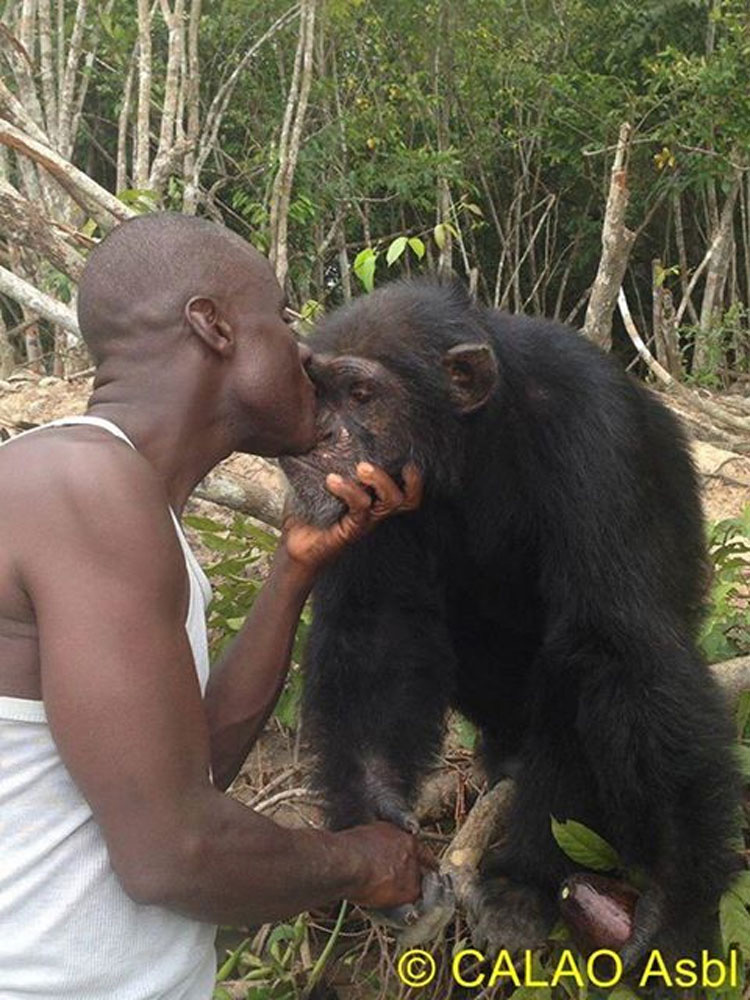 Este hombre se niega a abandonar a este chimpancé, a pesar de que todo el mundo lo ha hecho