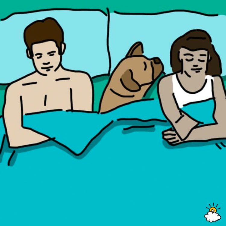 ¿Cómo duermes con tu mascota? ¡La respuesta revela secretos en vuestra relación! Impresionante