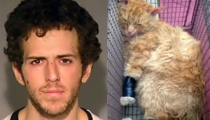 Policías registran la mochila de éste hombre, y encuentran un gato moribundo envuelto en cinta