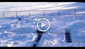 Construyeron un laberinto de nieve en su patio. Cuando su perro lo vio hizo la cosa más divertida