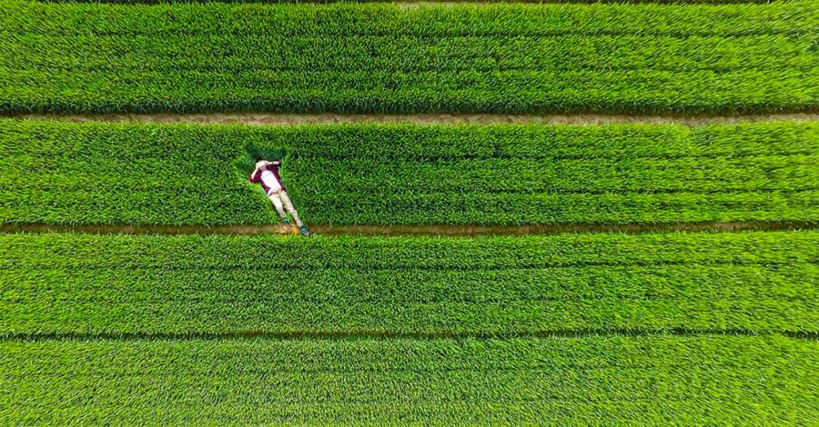 Las mejores fotografías hechas desde drones de 2015