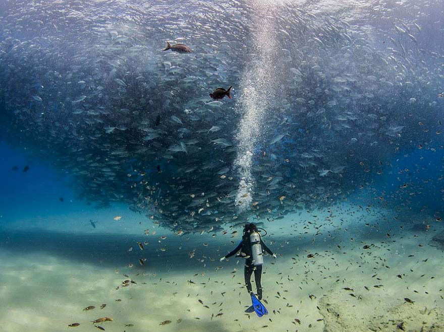 Las 20 mejores fotos de National Geographic de 2015