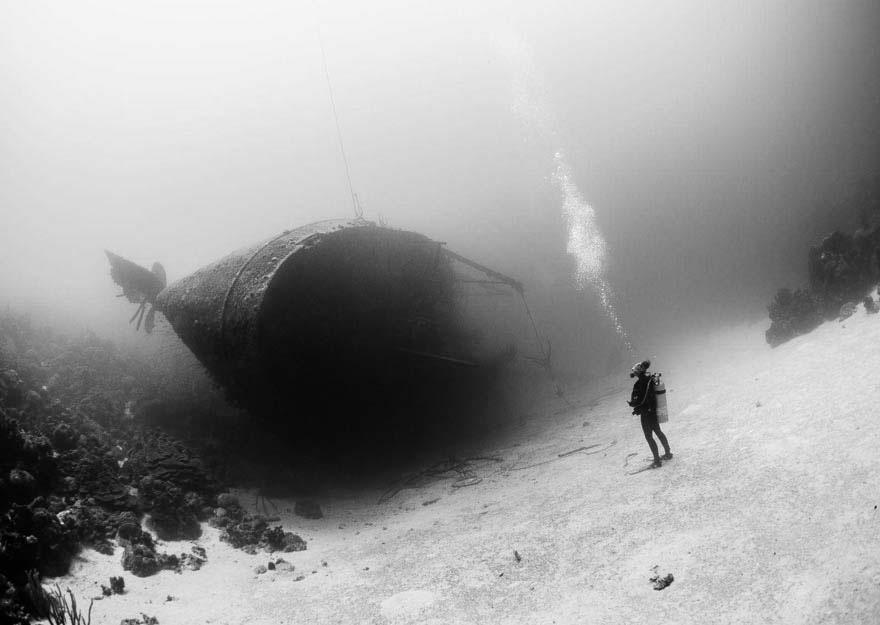 Las 20 mejores fotos de National Geographic de 2015