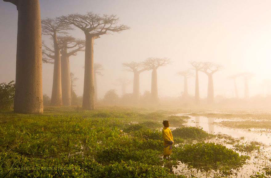 Las 20 mejores fotos de National Geographic de 2015
