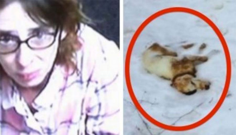 Dejó a su cachorro fuera durante el día más frío de la temporada de invierno