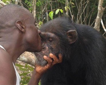 Este hombre se niega a abandonar a este chimpancé, a pesar de que todo el mundo lo ha hecho