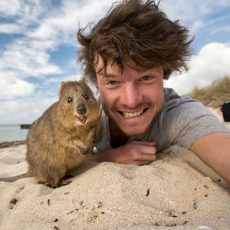 Este chico explica cómo tomar selfies con todo tipo de animales salvajes