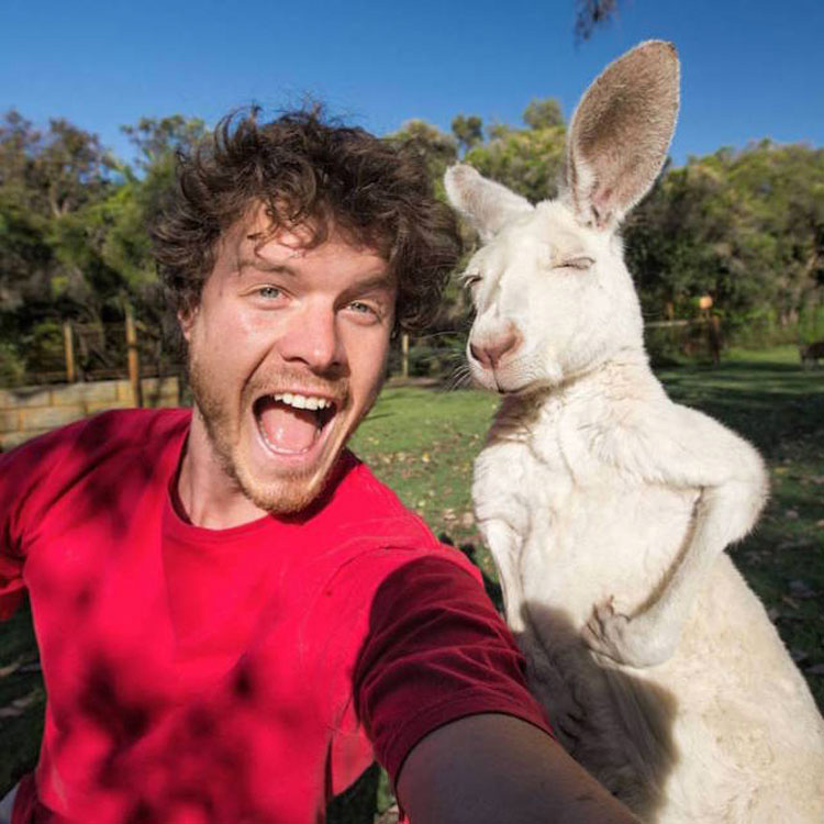 Este chico explica cómo tomar selfies con todo tipo de animales salvajes