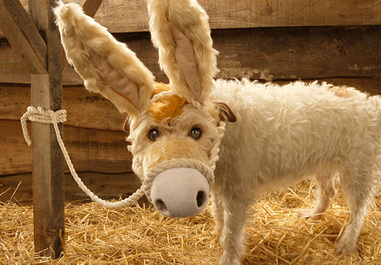 Cada Navidad este fotógrafo transforma a su perro en diferentes animales y este es el resultado