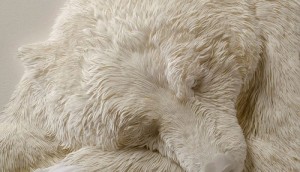 Esto parece un oso polar durmiendo, pero mira de nuevo... ¡INCREÍBLE!