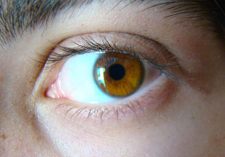 Científicos dicen que todas las personas con ojos azules tienen una cosa rara en común. No tenía ni idea