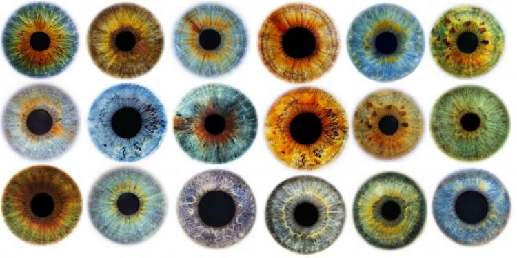 Científicos dicen que todas las personas con ojos azules tienen una cosa rara en común. No tenía ni idea 5 Científicos dicen que todas las personas con ojos azules tienen una cosa rara en común. No tenía ni idea