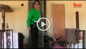 Esta señora tiene más de 1.000 gatos en su casa. Parece una locura, hasta que ves dónde viven
