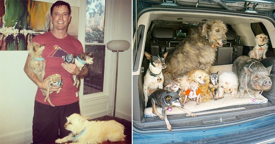 Este hombre dedica su vida a la adopción de animales viejos que habrían sido sacrificados