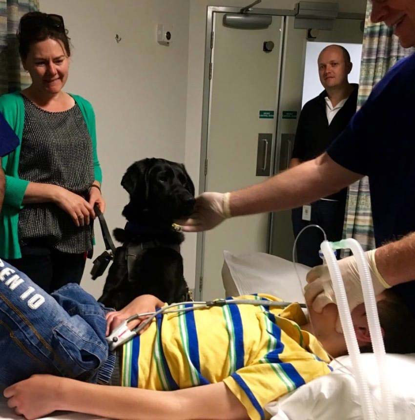 Este perro se niega a abandonar la cama de hospital de su muchacho. ¿La razón? ¡Esto es INCREÍBLE!