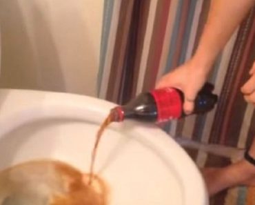 Decidió verter Coca-Cola en el inodoro, ¡pero no esperaba ESTO! 1 Decidió verter Coca-Cola en el inodoro, ¡pero no esperaba ESTO!