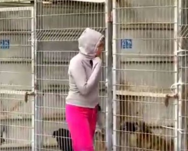 Esta mujer no puede decidir qué perros adoptar... Así que compra el refugio COMPLETO