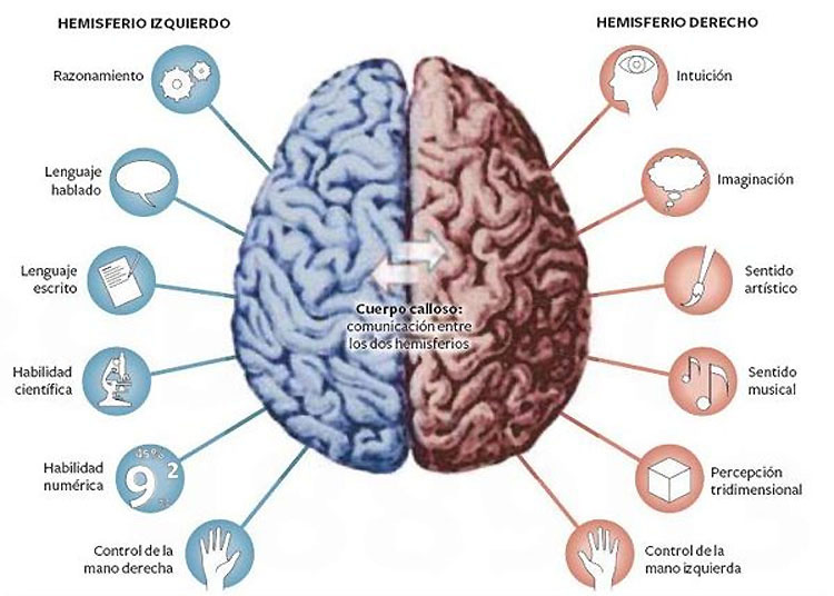 15 curiosidades sobre las personas zurdas que no sabías. La #7 realmente me sorprendió