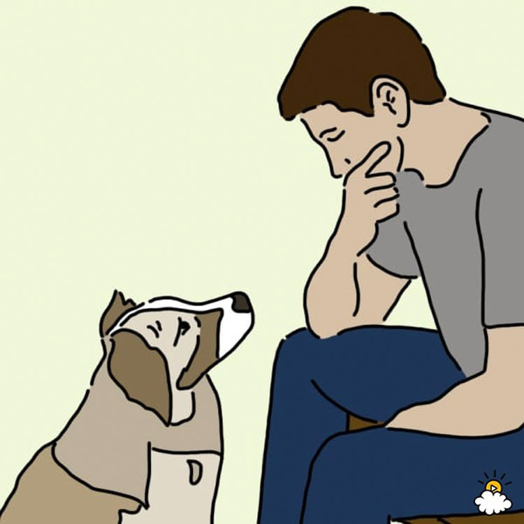 Los expertos dicen que 1 de cada 4 perros sufre de depresión. ¡No tenía idea de la sorprendentemente razón común!