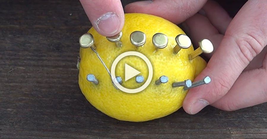 Poniendo unos clavos en un limón puedes aprender algo que podría salvar tu vida 1