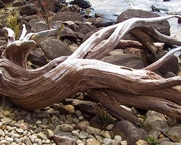Encontró esta madera en la playa, después construyó la cosa más épica con ella