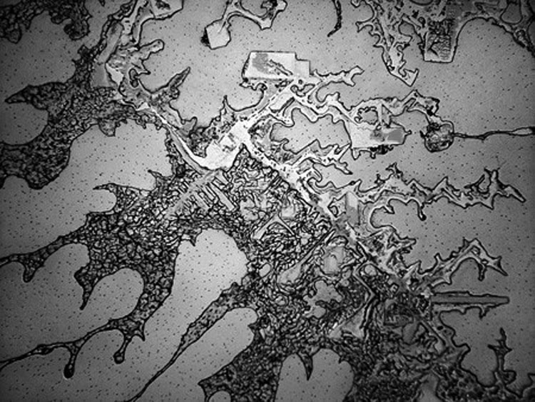 Ver nuestras lágrimas con un microscopio revela un hecho impactante