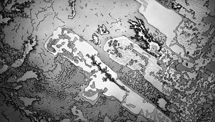 Ver nuestras lágrimas con un microscopio revela un hecho impactante