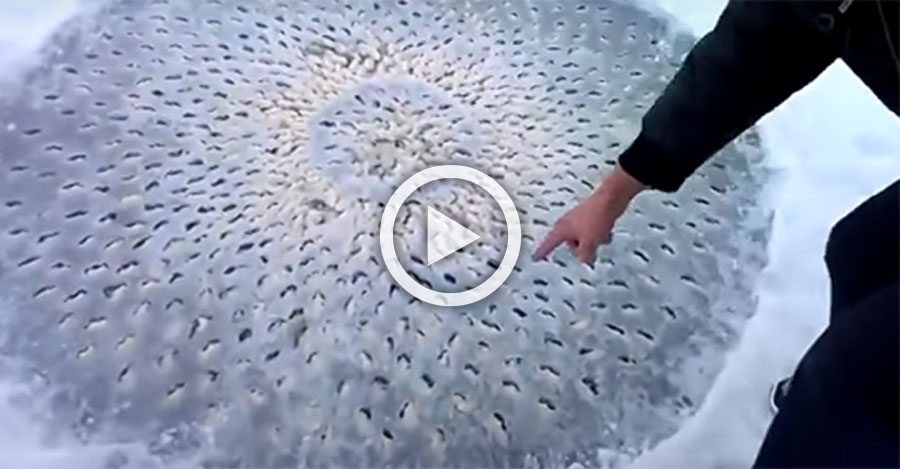 Lo que estos dos amigos han encontrado en mitad de un lago congelado no puede ser explicado por la ciencia