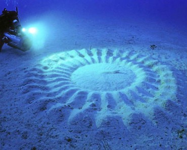 Estos misteriosos círculos bajo el agua desconcertaban a los científicos durante décadas. ¡Mira lo que son!
