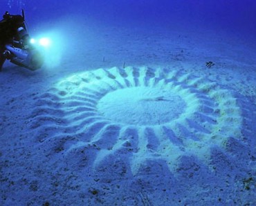Estos misteriosos círculos bajo el agua han desconcertado a los científicos durante décadas. ¡Mira lo que son! 7 Estos misteriosos círculos bajo el agua desconcertaban a los científicos durante décadas. ¡Mira lo que son!