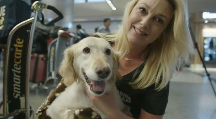 ¿La recuerdas? La perrita que perdió sus patas corre al encuentro de su nueva familia