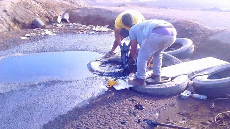 Este perro que se ahogaba en un pozo de alquitrán es rescatado justo a tiempo