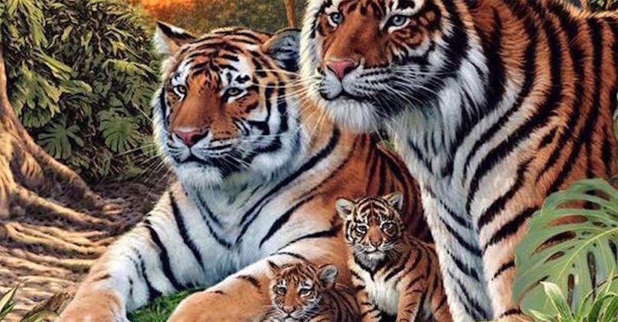 Pensaba que había cuatro tigres en esta pintura, pero tras un segundo vistazo... Me quedé SORPRENDIDO