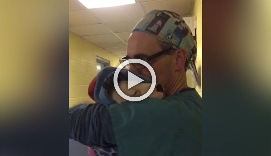 Este vídeo de un veterinario calmando a un cachorro después de la cirugía se ha hecho viral