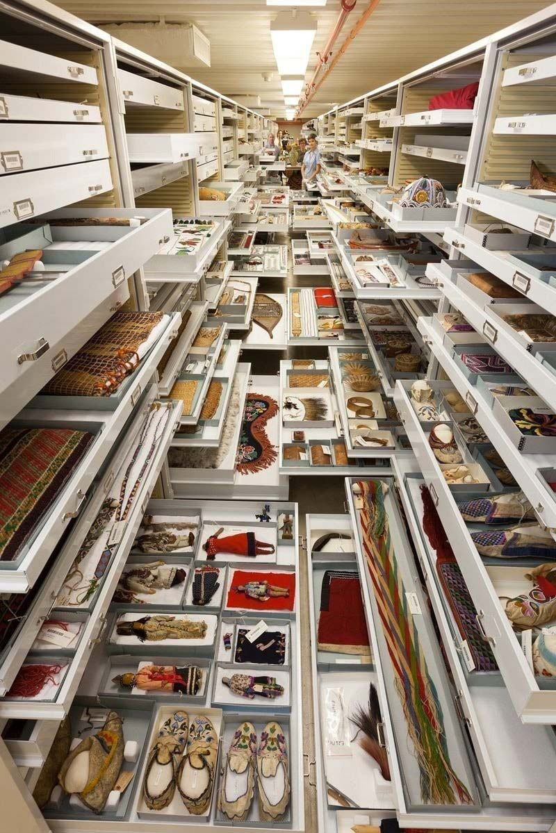 Hay miles de cajones en la habitación secreta del Smithsonian. Lo que hay dentro es increíble