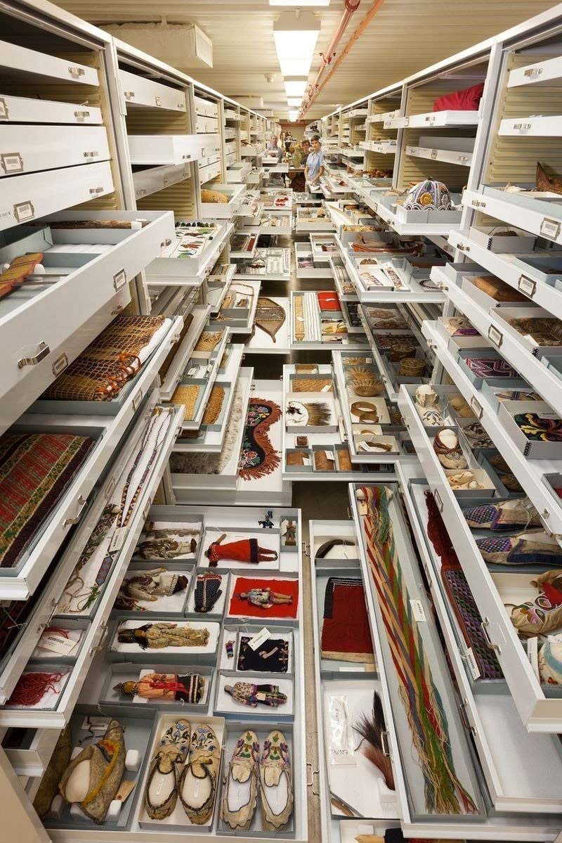 Hay miles de cajones en la habitación secreta del Smithsonian. Lo que hay dentro es increíble