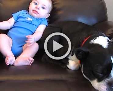 Este bebé se hace caca en su pijama, atención a la reacción del perro... ¡hilarante!