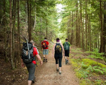 La ciencia explica por qué el senderismo transforma tu cerebro. Es fascinante su funcionamiento 3 La ciencia explica por qué el senderismo transforma tu cerebro. Es fascinante su funcionamiento