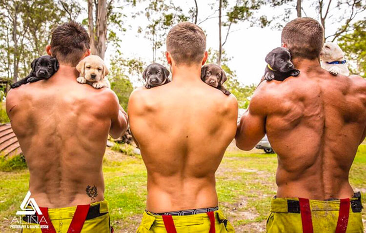Estos bomberos posan con cachorros rescatados para ayudarles a que sean adoptados