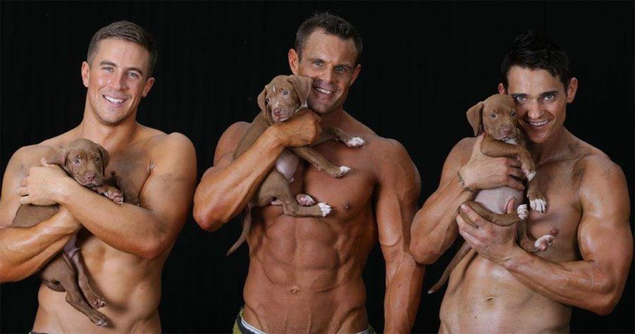 Estos bomberos posan con cachorros rescatados para ayudarles a que sean adoptados 9 Estos bomberos posan con cachorros rescatados para ayudarles a que sean adoptados