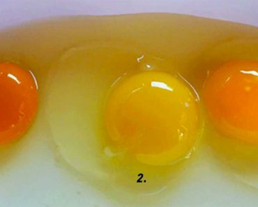 ¿Podrías decir cuál de estos huevos es de una gallina saludable? La respuesta es increíble