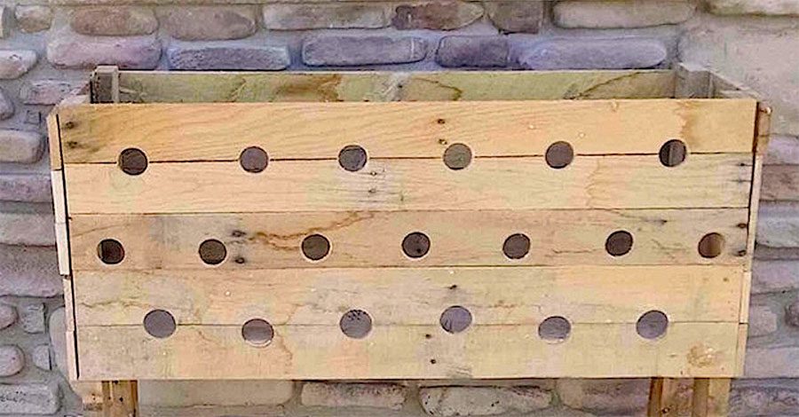 Hace 19 agujeros en una jardinera de madera. ¿5 meses más tarde? ¡Increíble!