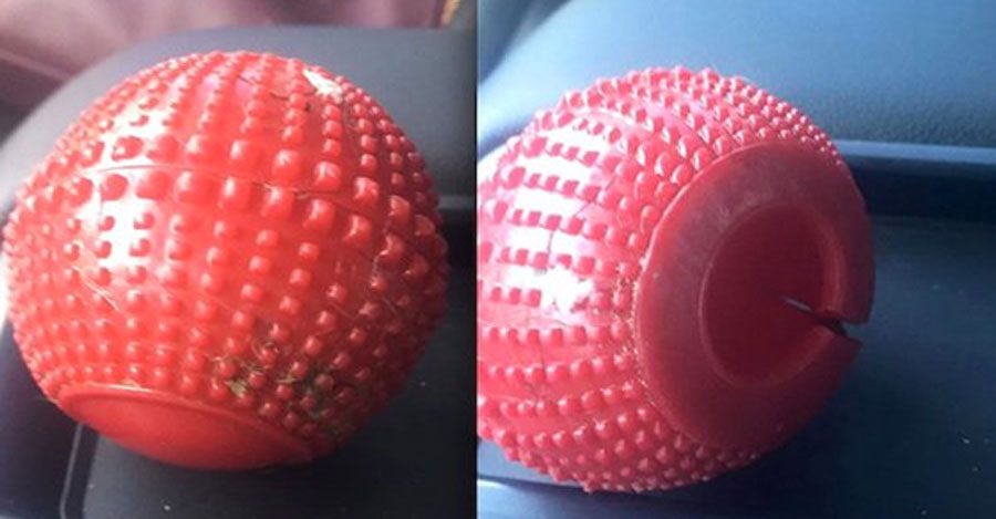 Si tienes este juguete para perros en casa, deshazte de él INMEDIATAMENTE 7 Si tienes este juguete para perros en casa, deshazte de él INMEDIATAMENTE