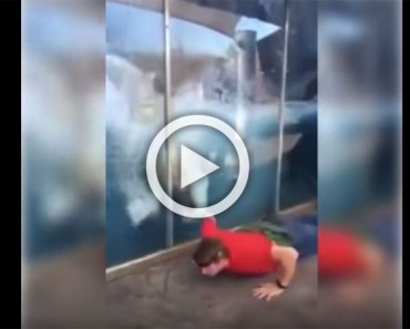 Este hombre se pone a hacer flexiones en el zoo... ¡ahora mira la reacción del oso polar!