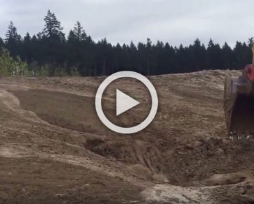 Vieron algo inusual moviéndose en el barro. Lo que hicieron a continuación es absolutamente asombroso