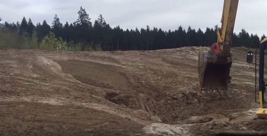 Vieron algo inusual moviéndose en el barro. Lo que hicieron a continuación es absolutamente asombroso